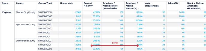 Social Impact Dashboards - Census Tracts - Race Data Table